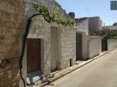 Anche se alcuni di loro conservano ancora una pianta del vino sulla facciata. Come il vignale di via Matilde Serao: una bianca dimora non pi� abitata da decenni, ma arricchita da un�antica vite che fa da cornice al piccolo portone d�ingresso